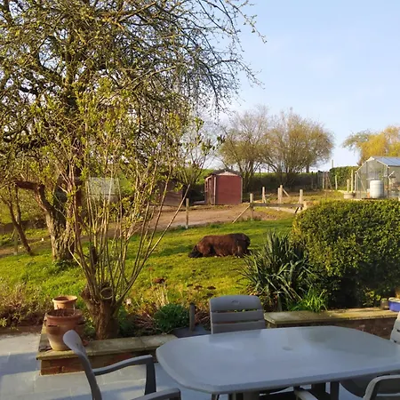 Bed & Breakfast Au Fil Des Champs Berzee